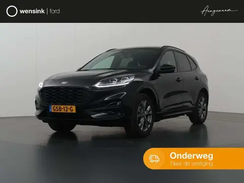 Annonce FORD KUGA Hybride 2023 d'occasion 