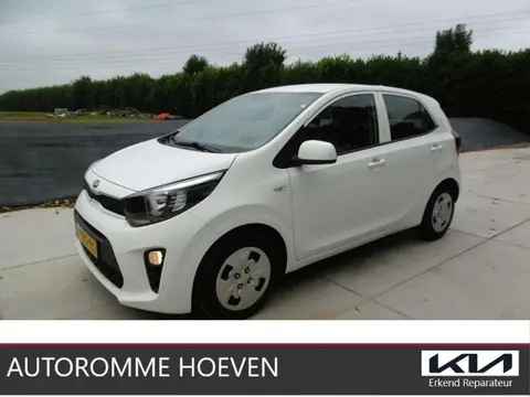 Annonce KIA PICANTO Essence 2020 d'occasion 