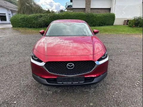 Used MAZDA CX-30 Hybrid 2020 Ad 