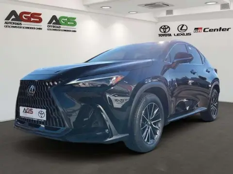 Annonce LEXUS NX Hybride 2023 d'occasion 