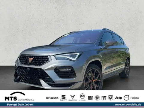 Annonce CUPRA ATECA Essence 2024 d'occasion 