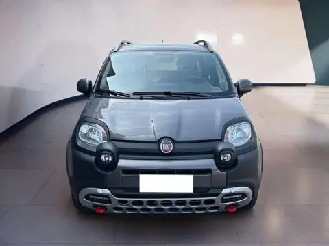 Annonce FIAT PANDA Hybride 2022 d'occasion 