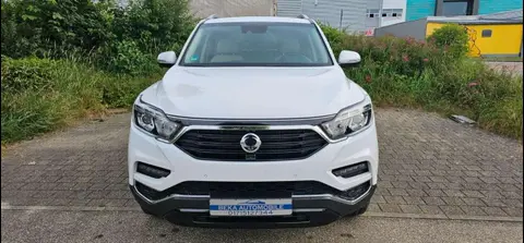 Used SSANGYONG REXTON Diesel 2019 Ad 