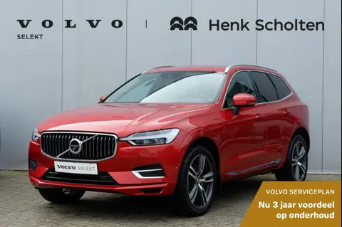 Annonce VOLVO XC60 Hybride 2020 d'occasion 