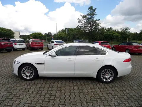 Used JAGUAR XF Diesel 2019 Ad 