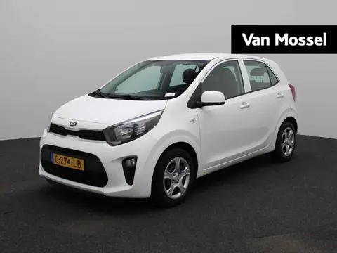 Used KIA PICANTO Petrol 2019 Ad 