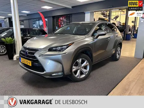 Used LEXUS NX Hybrid 2017 Ad 