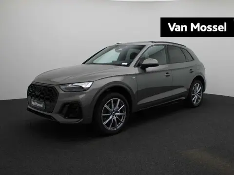 Used AUDI Q5 Hybrid 2023 Ad 