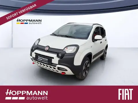 Annonce FIAT PANDA Essence 2024 d'occasion 