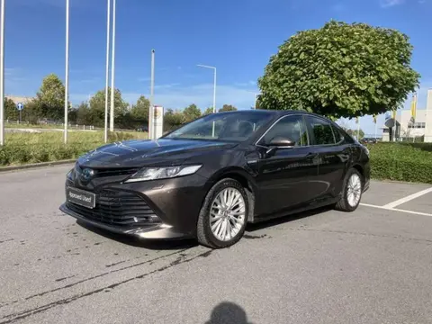 Used TOYOTA CAMRY  2021 Ad 