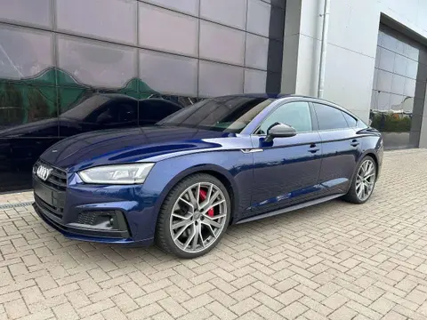 Used AUDI S5 Diesel 2019 Ad 