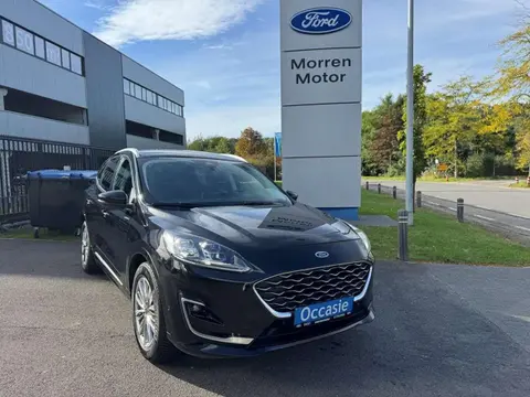 Used FORD KUGA Diesel 2021 Ad 