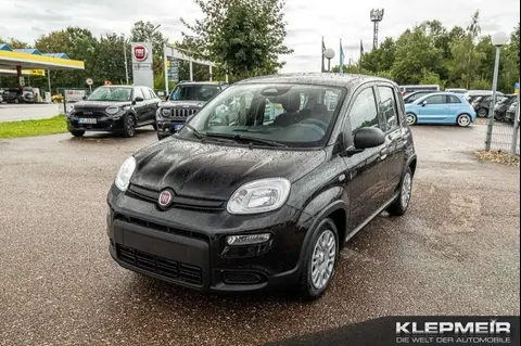 Used FIAT PANDA Hybrid 2024 Ad 