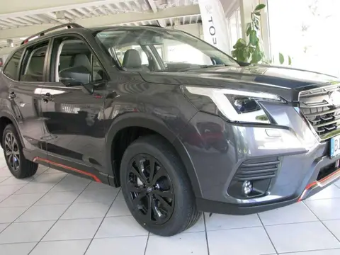 Used SUBARU FORESTER Petrol 2024 Ad 