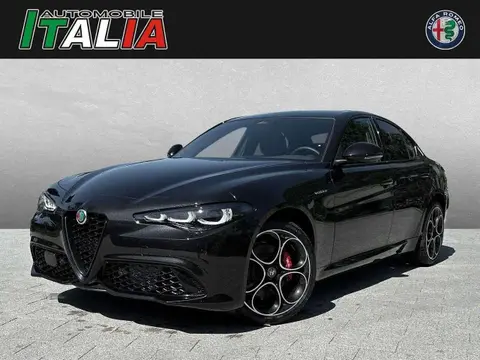 Used ALFA ROMEO GIULIA Petrol 2024 Ad 