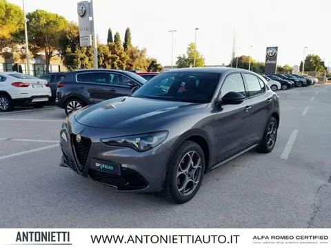 Used ALFA ROMEO STELVIO Diesel 2023 Ad 