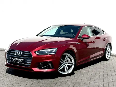 Used AUDI A5 Petrol 2017 Ad 