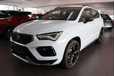 Annonce CUPRA ATECA Essence 2024 d'occasion 