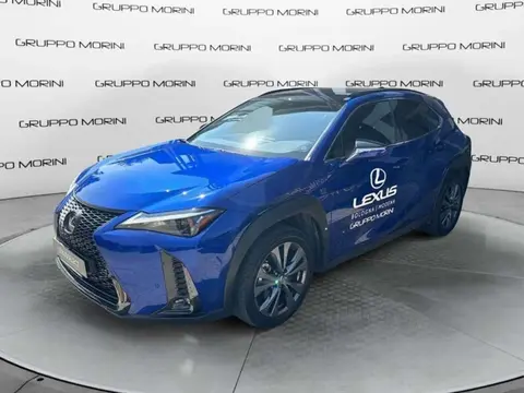 Used LEXUS UX Hybrid 2023 Ad 