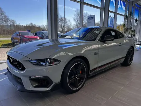 Used FORD MUSTANG Petrol 2023 Ad 