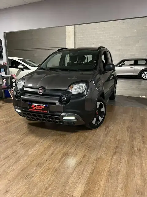 Used FIAT PANDA Hybrid 2020 Ad 