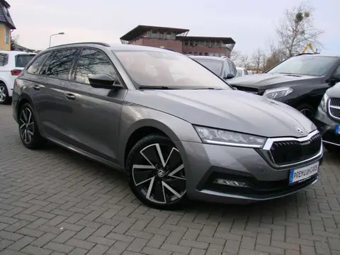 Used SKODA OCTAVIA Petrol 2022 Ad 