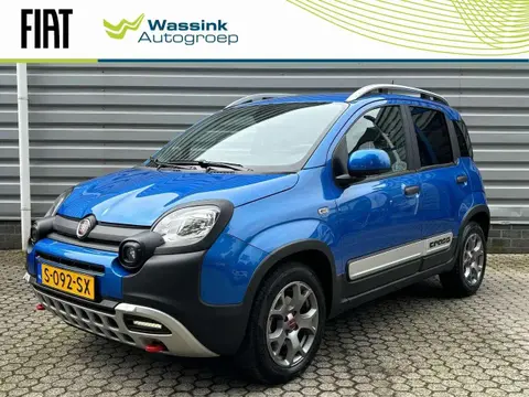 Used FIAT PANDA Hybrid 2023 Ad 