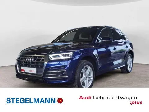 Used AUDI Q5 Diesel 2019 Ad 