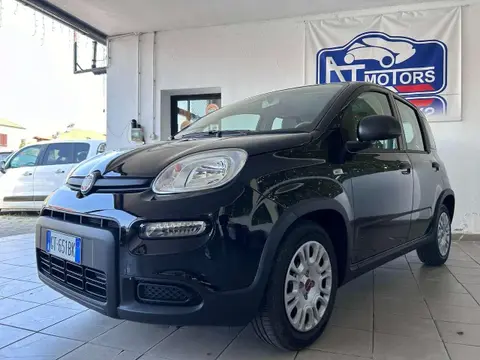 Used FIAT PANDA Hybrid 2024 Ad 