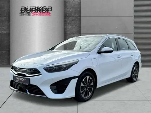 Annonce KIA CEED Hybride 2024 d'occasion 