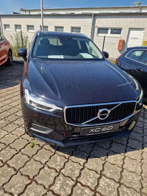 Used VOLVO XC60 Diesel 2019 Ad 