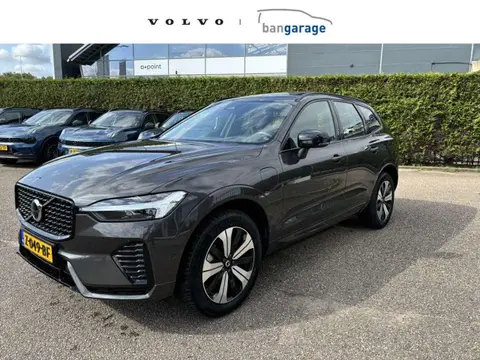 Annonce VOLVO XC60 Hybride 2024 d'occasion 