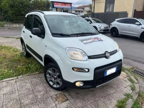 Used FIAT PANDA Diesel 2016 Ad 