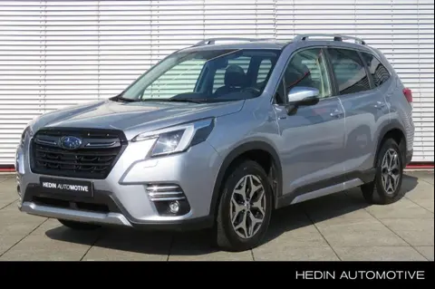 Used SUBARU FORESTER Hybrid 2023 Ad 