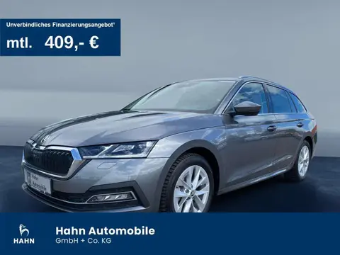 Annonce SKODA OCTAVIA Diesel 2023 d'occasion 