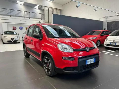 Used FIAT PANDA Hybrid 2022 Ad 