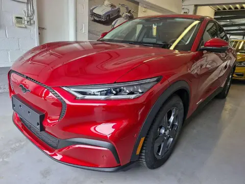 Annonce FORD MUSTANG Électrique 2023 d'occasion 