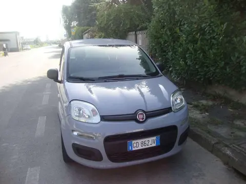 Used FIAT PANDA Petrol 2020 Ad 