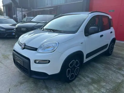 Used FIAT PANDA Hybrid 2022 Ad 