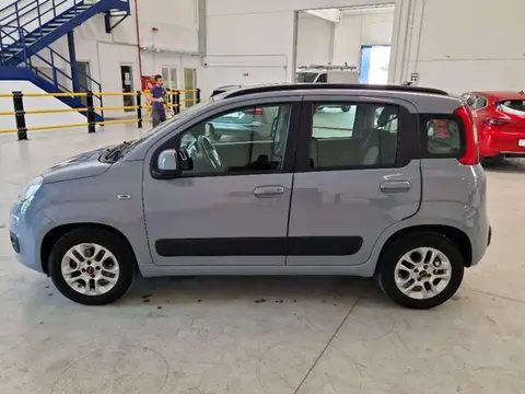 Annonce FIAT PANDA Essence 2020 d'occasion 