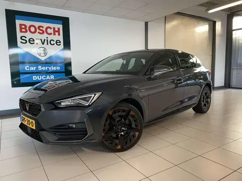 Used CUPRA LEON Hybrid 2021 Ad 