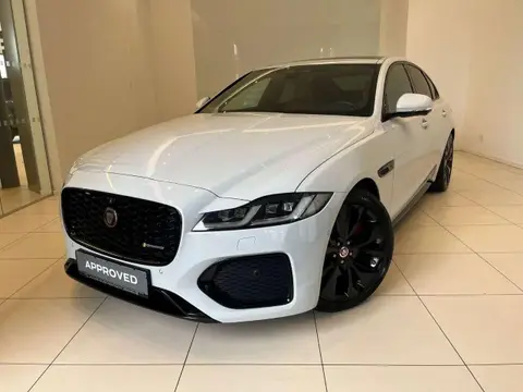 Used JAGUAR XF Diesel 2021 Ad 