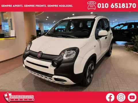 Annonce FIAT PANDA Hybride 2023 d'occasion 