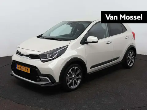 Used KIA PICANTO Petrol 2022 Ad 