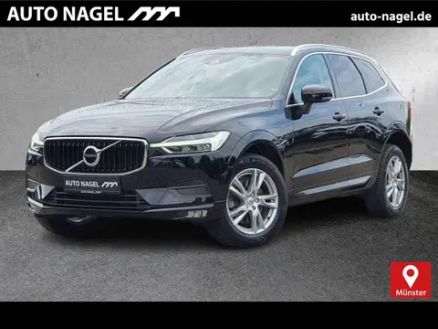 Used VOLVO XC60 Diesel 2019 Ad 