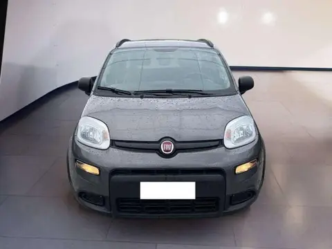 Used FIAT PANDA Hybrid 2021 Ad 