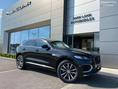 Used JAGUAR F-PACE  2021 Ad 