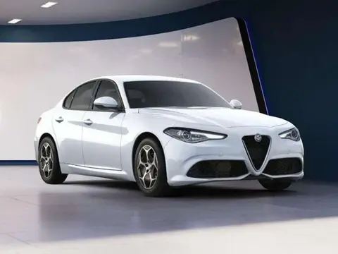 Used ALFA ROMEO GIULIA Diesel 2022 Ad 