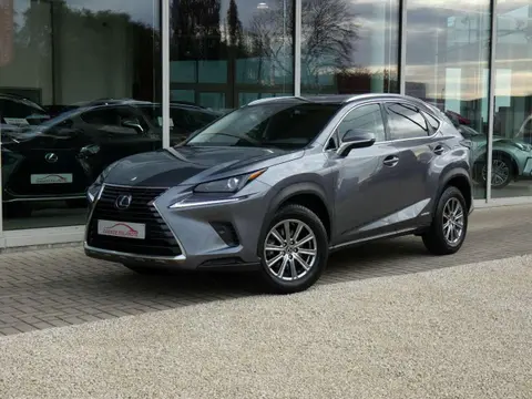 Annonce LEXUS NX Hybride 2020 d'occasion 