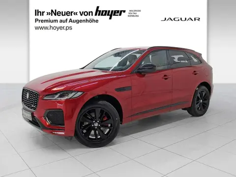 Used JAGUAR F-PACE Hybrid 2024 Ad 